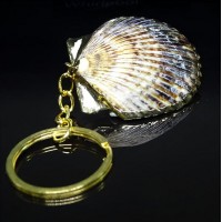 Keychain made from a tiger scallop shell
