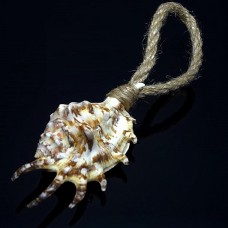 Lambis shell souvenir on a rope