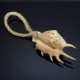 Lambis shell souvenir on a rope