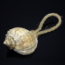 Souvenir made from a rapana shell on a rope