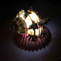 Lamp-night lamp made of natural indivia murex shell on LED stand 