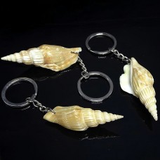 Keychain made from a shell strombus vittatus