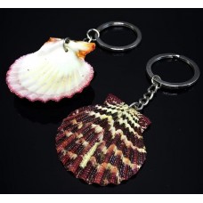 Keychain made of shell scallop falium