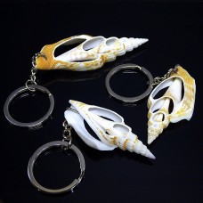 Keychain made of strombus listeri shell cut