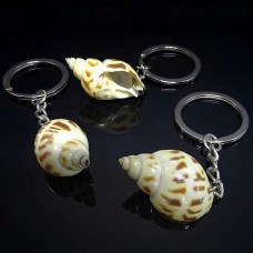 Babylonia shell keychain