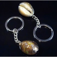 Cypraea kaputserpentis shell keychain