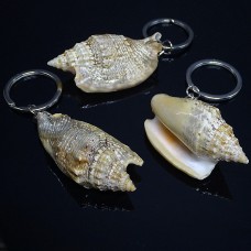 Strombus aresdain shell keychain