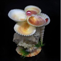 Сувенир из ракушки цветок на рапане 