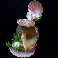 Сувенир из ракушки жемчужина на рапане 