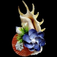 Сувенір з черепашки ламбіс з квіткою на рапані