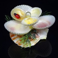 Сувенир из ракушки цветок на гребешке