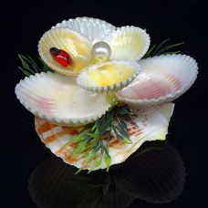 Сувенир из ракушки цветок на гребешке