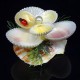Сувенир из ракушки цветок на гребешке