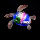 Fridge magnet Chernomorsk in the form of a Sea Turtle