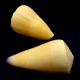 Sea shells CONUS VIRGO, size: length 5-6cm