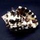 Sea shells Vasum turbinellus, size: 6-7cm