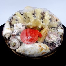 Set of seashells in a wicker basket with coral size *6* 15cm