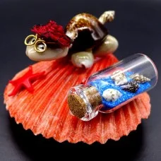 A shell magnet, a turtle with glasses on a comb with a colored bottle. Size: 7*6.5cm+-