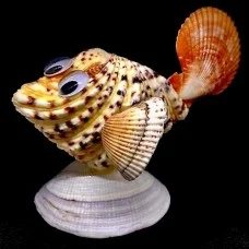 Sea souvenir from a shell in the form of fish from hippopus