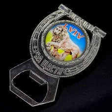 Fridge magnet Lviv in the shape of a horseshoe with an opener