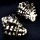 Sea shells Vasum turbinellus, size: 5-6cm