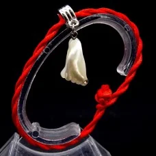 Bracelet red thread amulet against the evil eye with a pendant with rhinestones *Mother of pearl foot* metal color: silver, size: universal 12-19cm