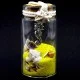 Marine souvenir glass bottle with a pendant
